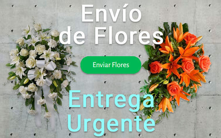 Envio flores difunto urgente a Tanatorio Navarra